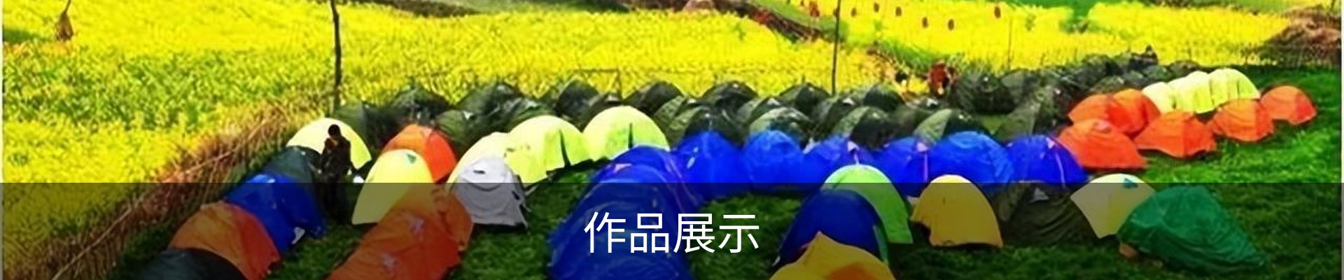 作品展示