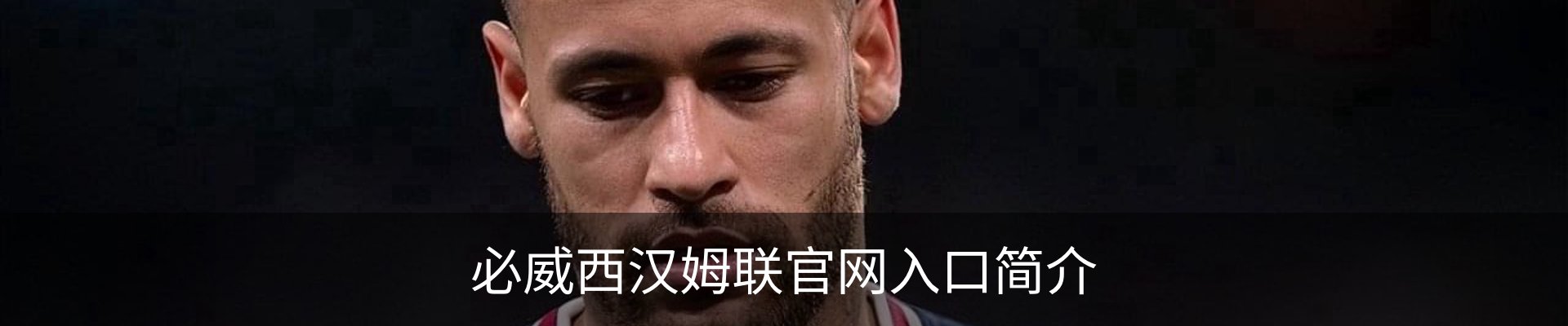 必威西汉姆联官网入口简介